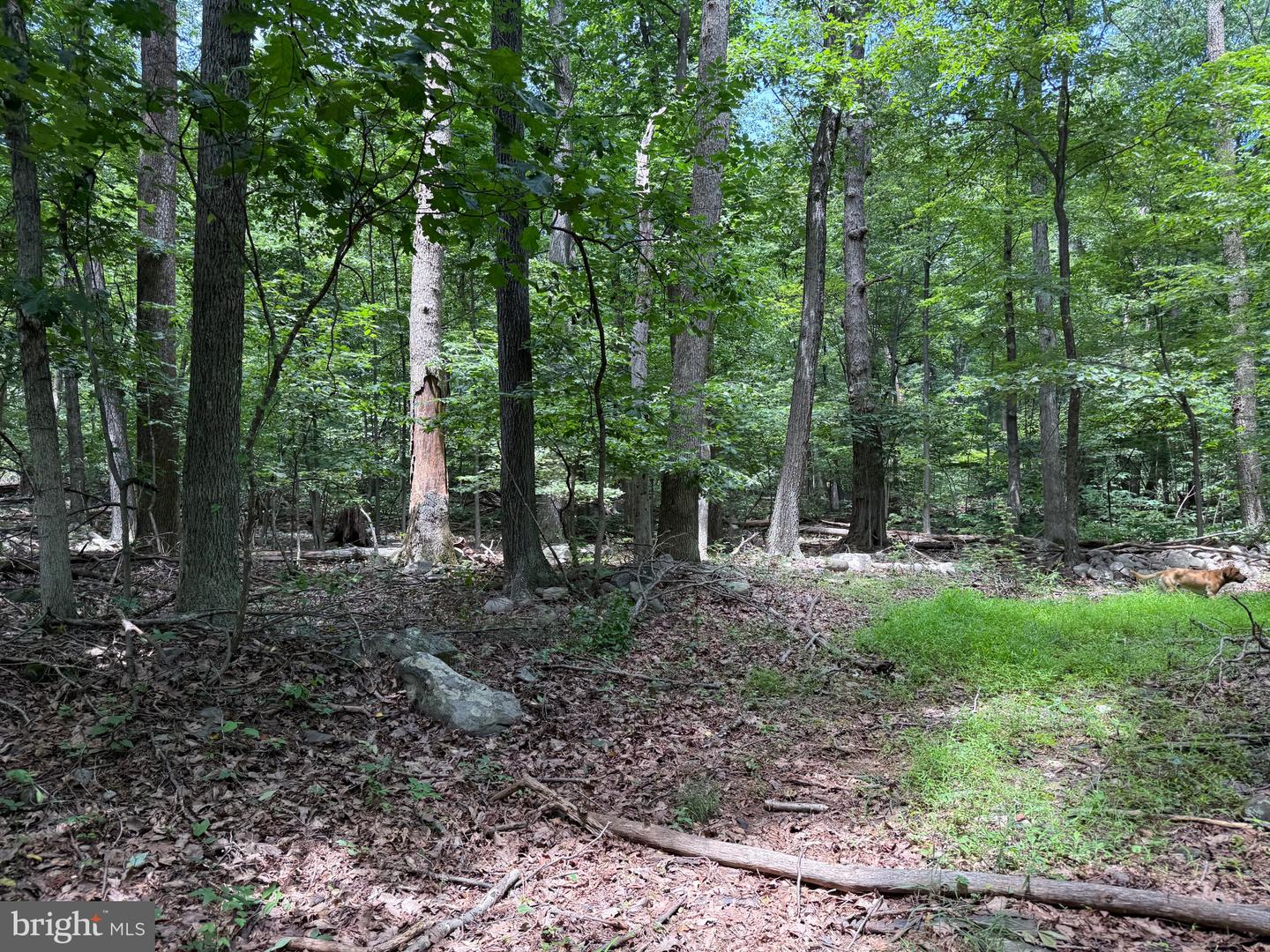TBD APPALACHIAN TRAIL RD, ROUND HILL, Virginia 20141, ,Land,For sale,TBD APPALACHIAN TRAIL RD,VALO2102392 MLS # VALO2102392