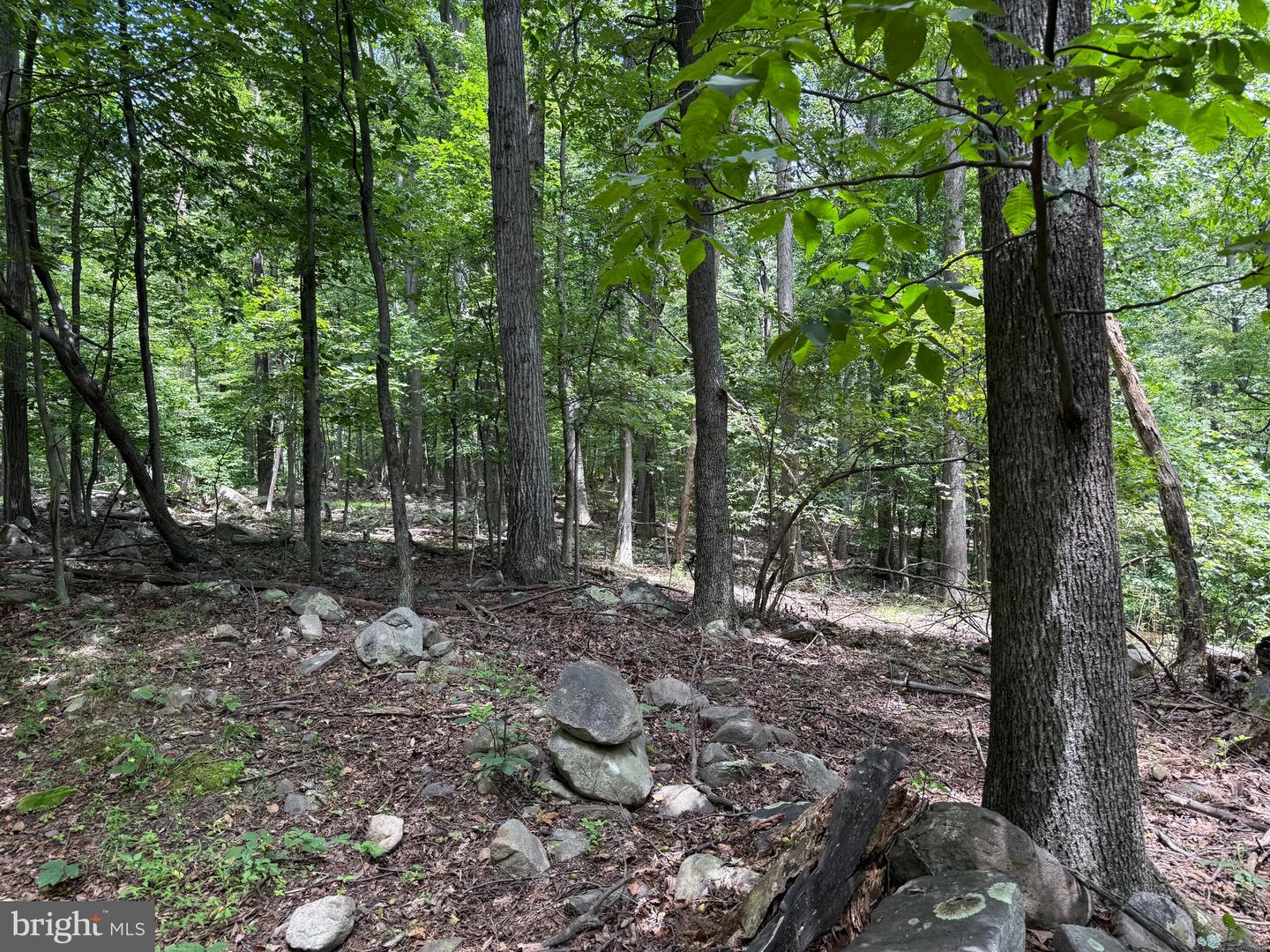 TBD APPALACHIAN TRAIL RD, ROUND HILL, Virginia 20141, ,Land,For sale,TBD APPALACHIAN TRAIL RD,VALO2102392 MLS # VALO2102392