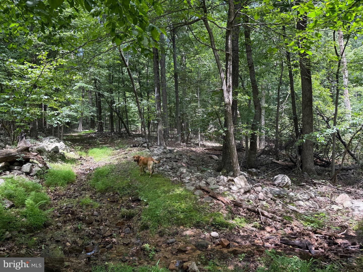 TBD APPALACHIAN TRAIL RD, ROUND HILL, Virginia 20141, ,Land,For sale,TBD APPALACHIAN TRAIL RD,VALO2102392 MLS # VALO2102392