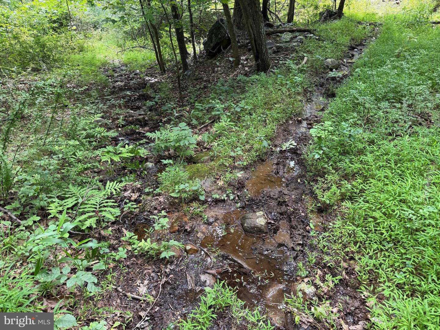 TBD APPALACHIAN TRAIL RD, ROUND HILL, Virginia 20141, ,Land,For sale,TBD APPALACHIAN TRAIL RD,VALO2102392 MLS # VALO2102392