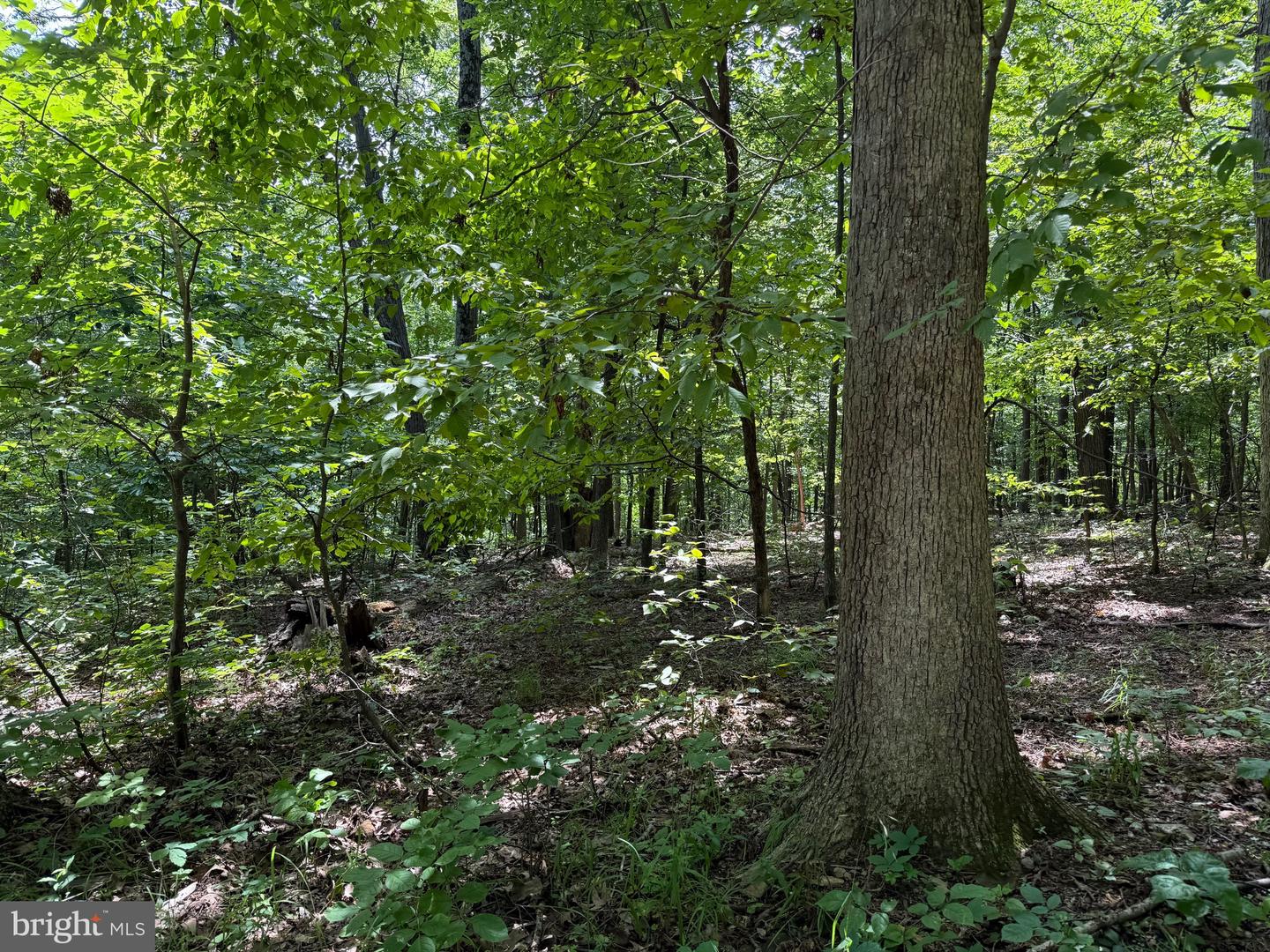 TBD APPALACHIAN TRAIL RD, ROUND HILL, Virginia 20141, ,Land,For sale,TBD APPALACHIAN TRAIL RD,VALO2102392 MLS # VALO2102392