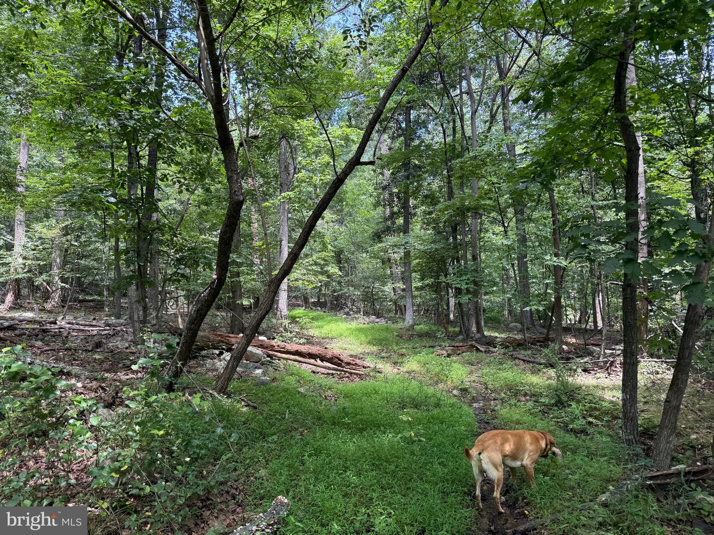 TBD APPALACHIAN TRAIL RD, ROUND HILL, Virginia 20141, ,Land,For sale,TBD APPALACHIAN TRAIL RD,VALO2102392 MLS # VALO2102392