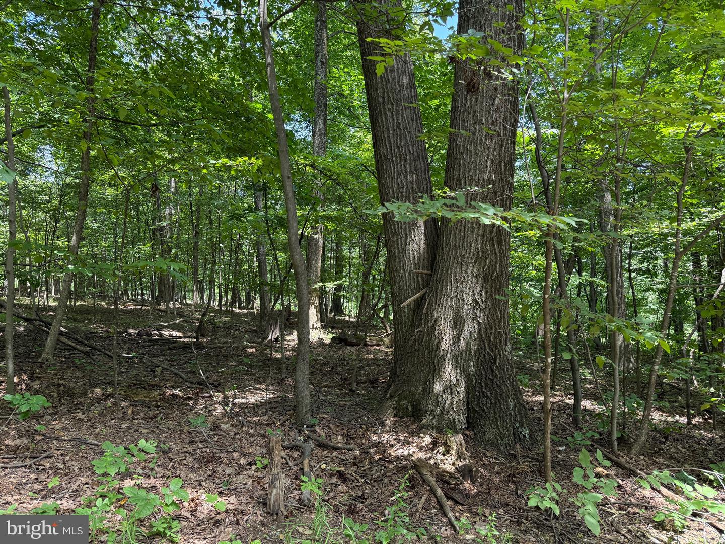 TBD APPALACHIAN TRAIL RD, ROUND HILL, Virginia 20141, ,Land,For sale,TBD APPALACHIAN TRAIL RD,VALO2102392 MLS # VALO2102392