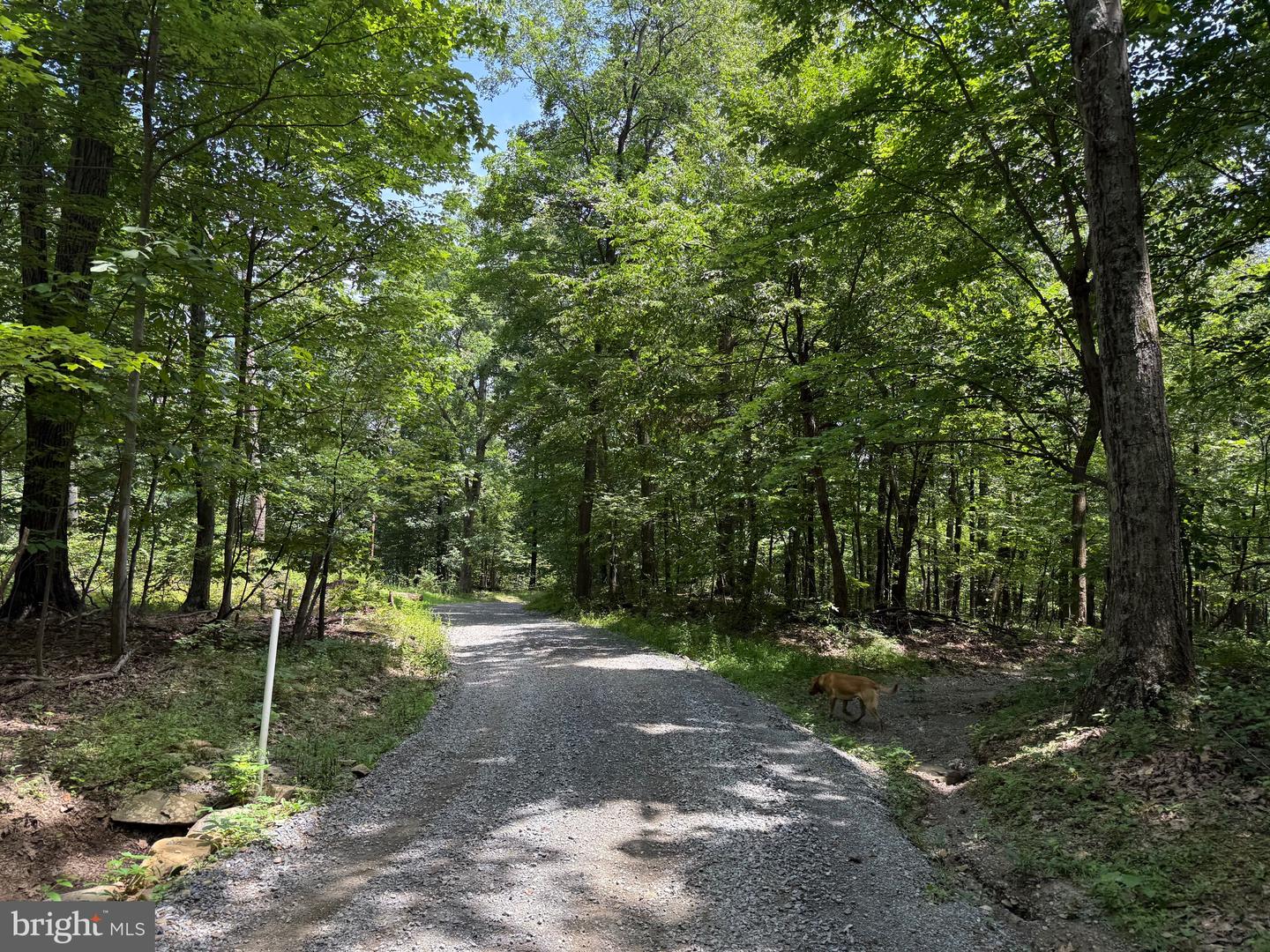 TBD APPALACHIAN TRAIL RD, ROUND HILL, Virginia 20141, ,Land,For sale,TBD APPALACHIAN TRAIL RD,VALO2102392 MLS # VALO2102392