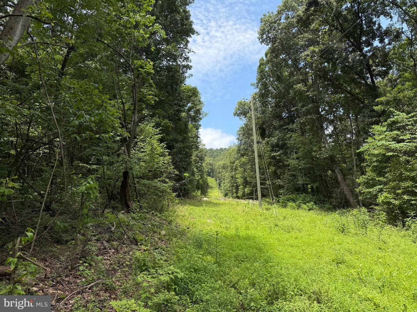TBD APPALACHIAN TRAIL RD, ROUND HILL, Virginia 20141, ,Land,For sale,TBD APPALACHIAN TRAIL RD,VALO2102392 MLS # VALO2102392