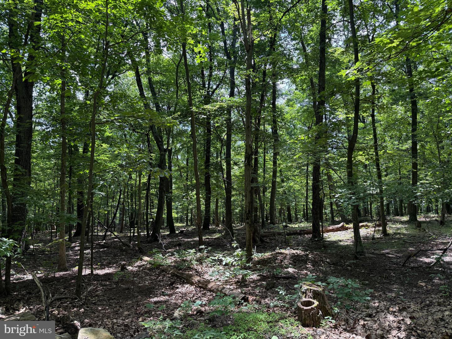 TBD APPALACHIAN TRAIL RD, ROUND HILL, Virginia 20141, ,Land,For sale,TBD APPALACHIAN TRAIL RD,VALO2102392 MLS # VALO2102392