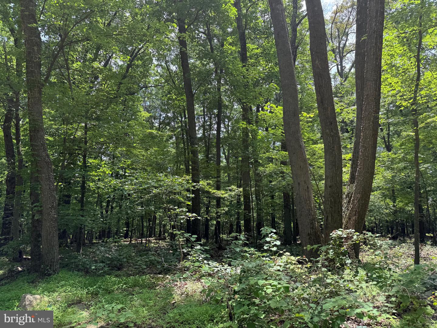 TBD APPALACHIAN TRAIL RD, ROUND HILL, Virginia 20141, ,Land,For sale,TBD APPALACHIAN TRAIL RD,VALO2102392 MLS # VALO2102392