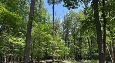 TBD APPALACHIAN TRAIL RD, ROUND HILL, Virginia 20141, ,Land,For sale,TBD APPALACHIAN TRAIL RD,VALO2102392 MLS # VALO2102392
