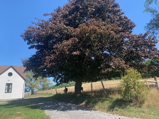 4600 MOUNTAIN TPKE, MONTEREY, Virginia 24465, 4 Bedrooms Bedrooms, ,2 BathroomsBathrooms,Residential,4600 MOUNTAIN TPKE,666845 MLS # 666845