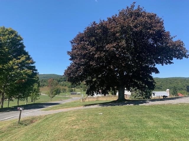 4600 MOUNTAIN TPKE, MONTEREY, Virginia 24465, 4 Bedrooms Bedrooms, ,2 BathroomsBathrooms,Residential,4600 MOUNTAIN TPKE,666845 MLS # 666845
