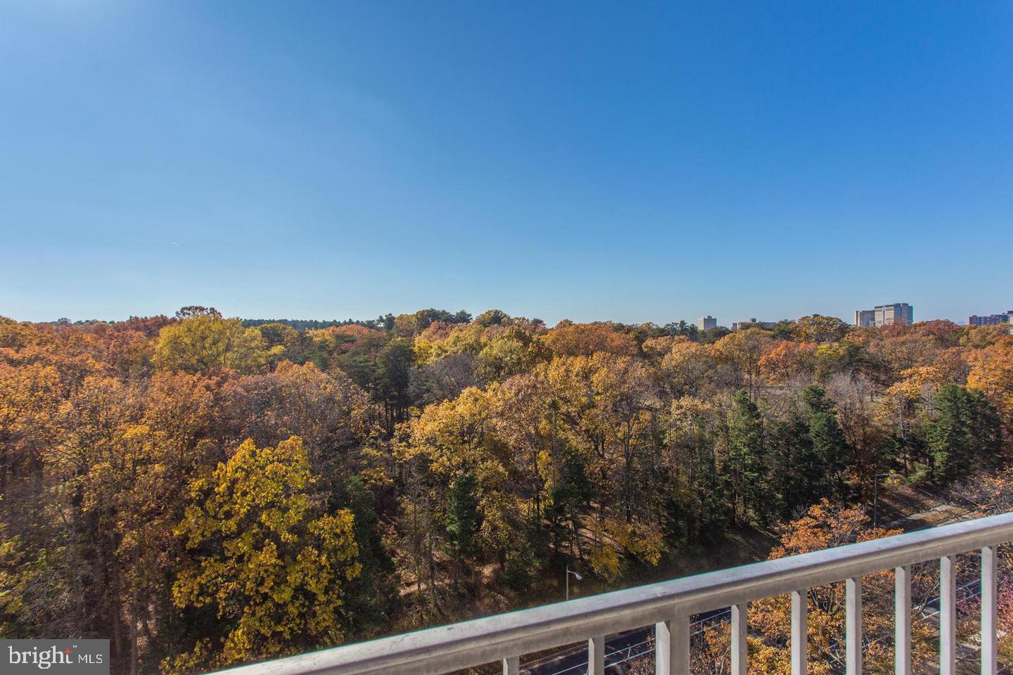 2500 N VAN DORN ST #1226, ALEXANDRIA, Virginia 22302, 2 Bedrooms Bedrooms, ,1 BathroomBathrooms,Residential,For sale,2500 N VAN DORN ST #1226,VAAX2047272 MLS # VAAX2047272