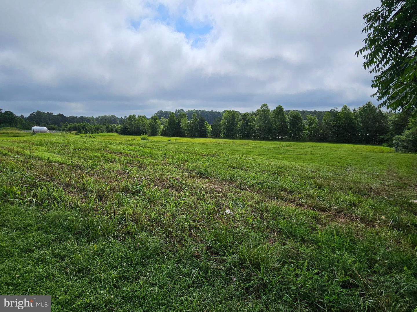 01 BUCKINGHAM CENTRE DR, DILLWYN, Virginia 23936, ,Land,For sale,01 BUCKINGHAM CENTRE DR,VABH2000200 MLS # VABH2000200