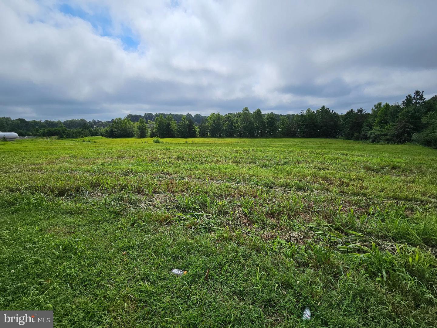 01 BUCKINGHAM CENTRE DR, DILLWYN, Virginia 23936, ,Land,For sale,01 BUCKINGHAM CENTRE DR,VABH2000200 MLS # VABH2000200