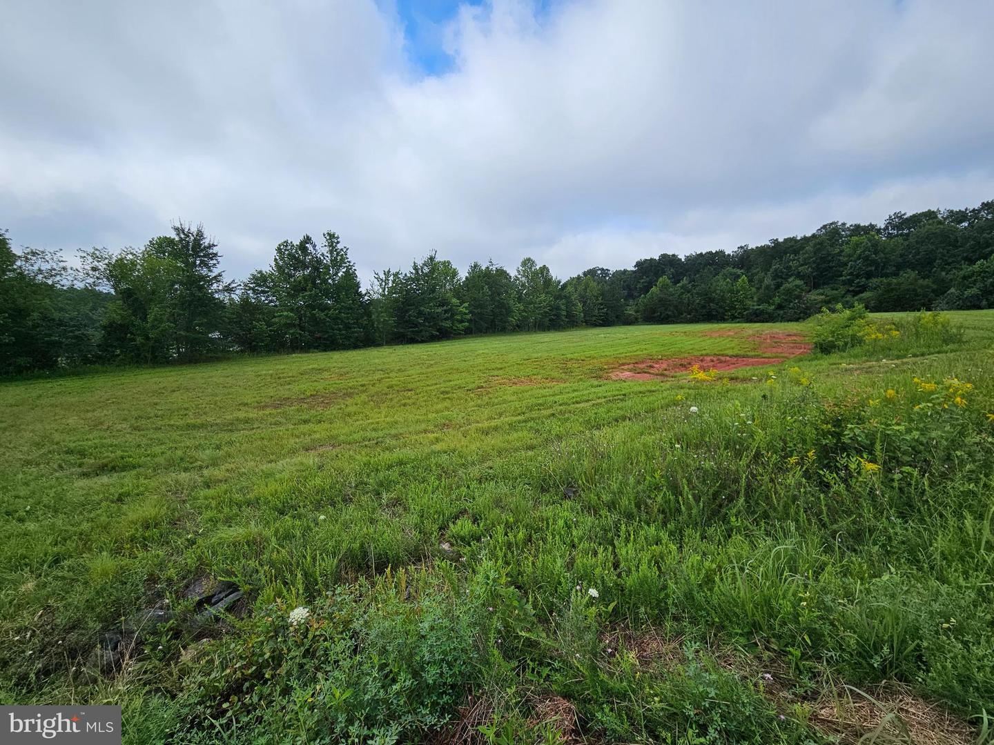 01 BUCKINGHAM CENTRE DR, DILLWYN, Virginia 23936, ,Land,For sale,01 BUCKINGHAM CENTRE DR,VABH2000200 MLS # VABH2000200