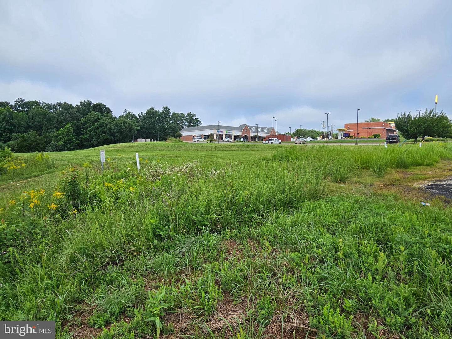 01 BUCKINGHAM CENTRE DR, DILLWYN, Virginia 23936, ,Land,For sale,01 BUCKINGHAM CENTRE DR,VABH2000200 MLS # VABH2000200