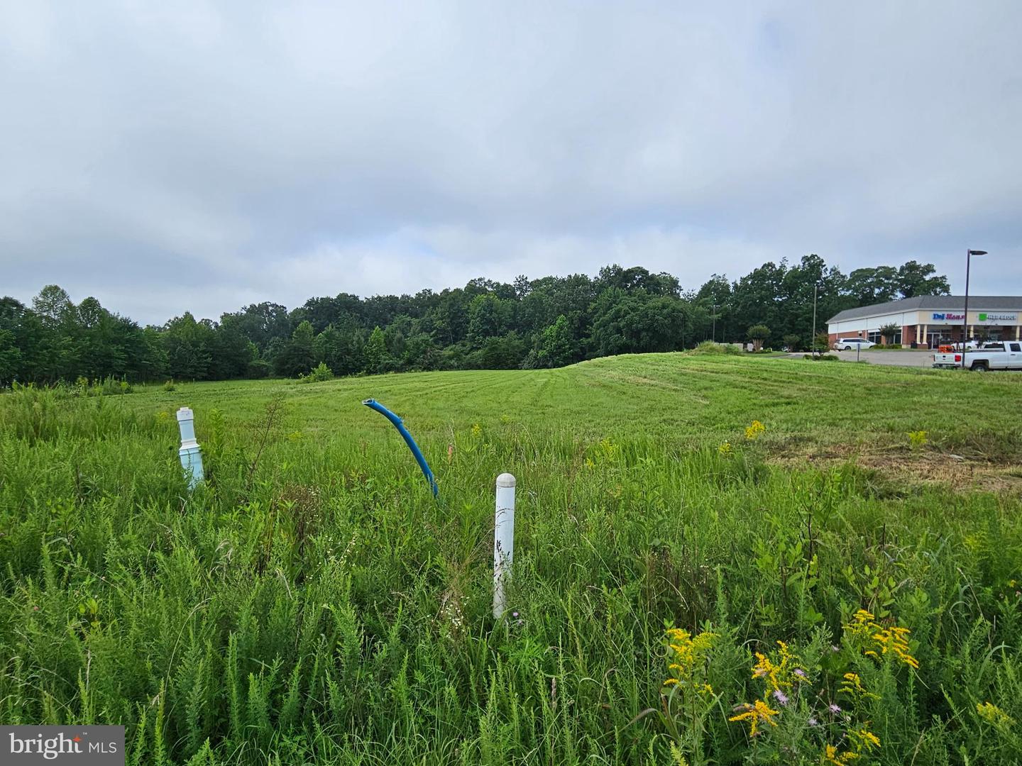 01 BUCKINGHAM CENTRE DR, DILLWYN, Virginia 23936, ,Land,For sale,01 BUCKINGHAM CENTRE DR,VABH2000200 MLS # VABH2000200