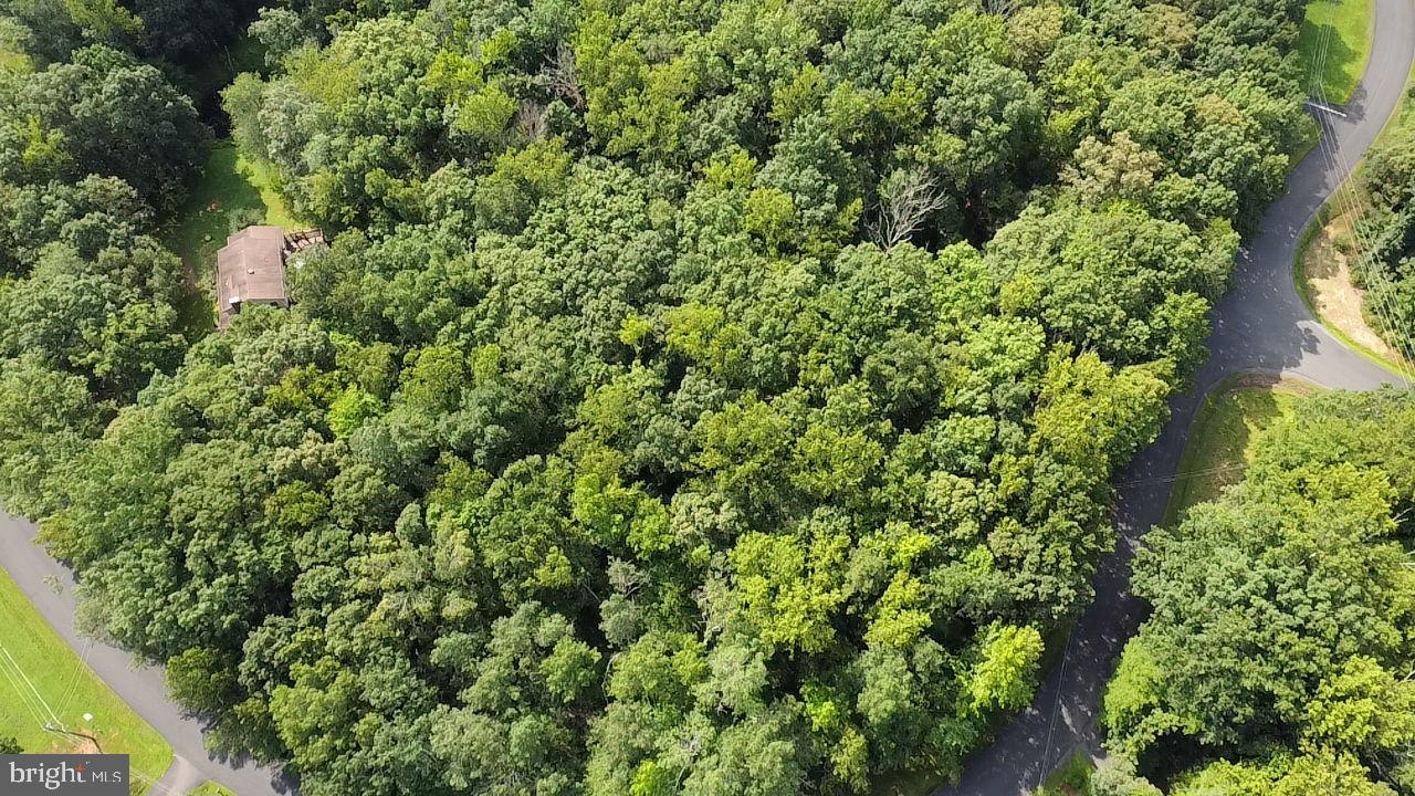 8815 CLINTON DR, NOKESVILLE, Virginia 20181, ,Land,For sale,8815 CLINTON DR,VAPW2099284 MLS # VAPW2099284