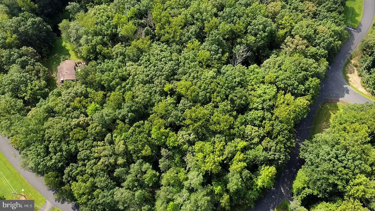 8815 CLINTON DR, NOKESVILLE, Virginia 20181, ,Land,For sale,8815 CLINTON DR,VAPW2099284 MLS # VAPW2099284