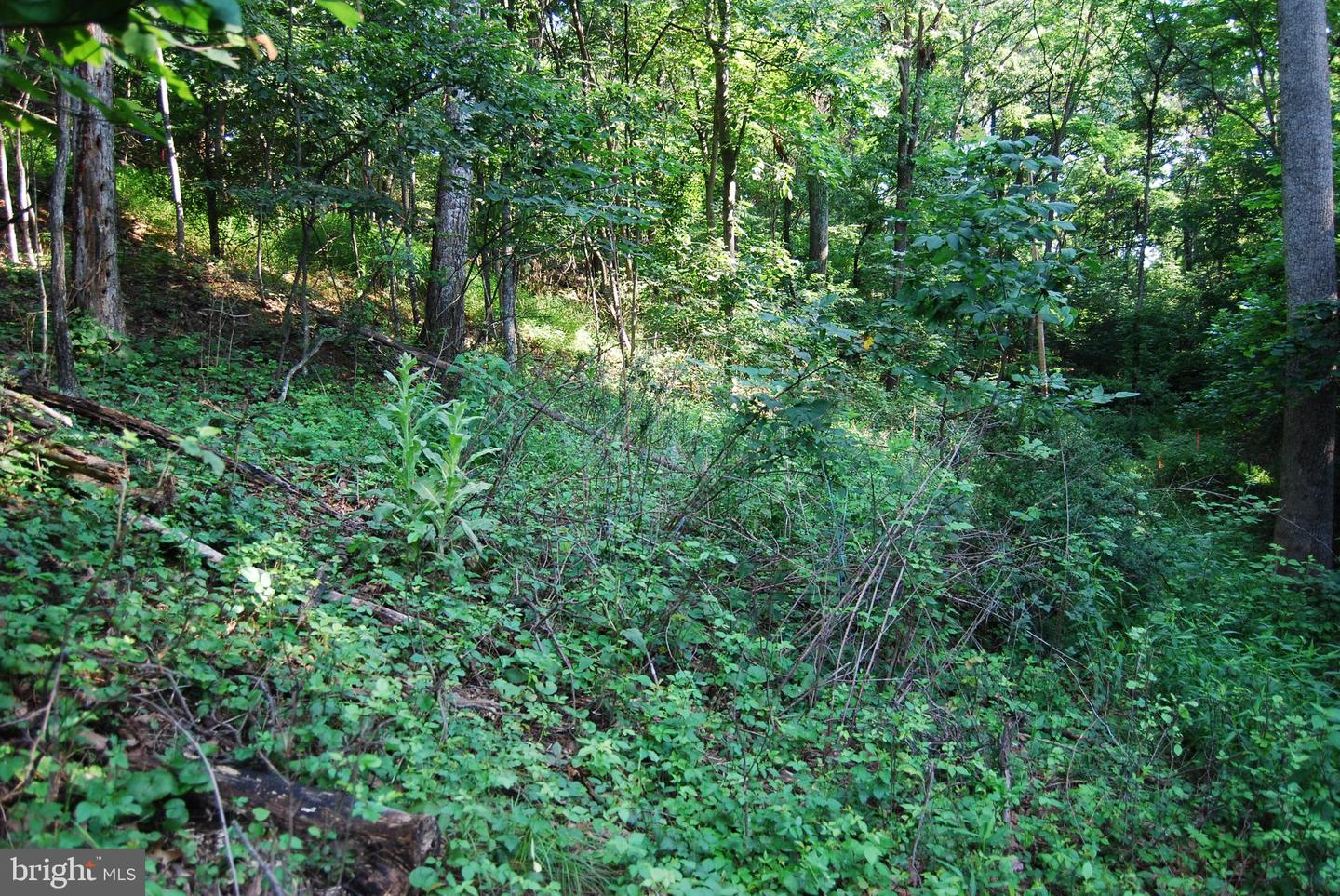 LOT 132 SYCAMORE PL, CROSS JUNCTION, Virginia 22625, ,Land,For sale,LOT 132 SYCAMORE PL,VAFV2035486 MLS # VAFV2035486