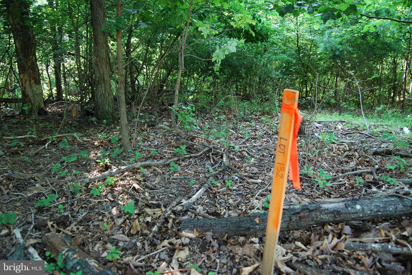 LOT 132 SYCAMORE PL, CROSS JUNCTION, Virginia 22625, ,Land,For sale,LOT 132 SYCAMORE PL,VAFV2035486 MLS # VAFV2035486