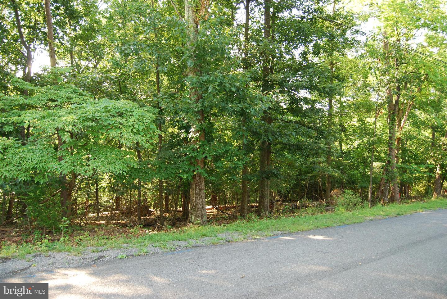 LOT 132 SYCAMORE PL, CROSS JUNCTION, Virginia 22625, ,Land,For sale,LOT 132 SYCAMORE PL,VAFV2035486 MLS # VAFV2035486