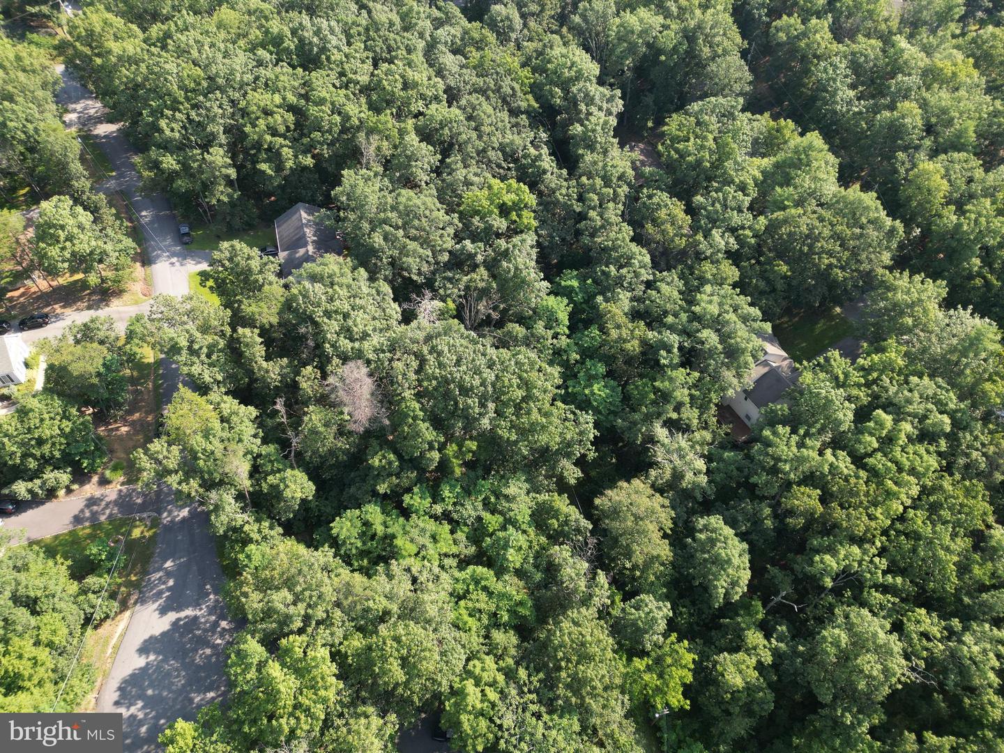 LOT 132 SYCAMORE PL, CROSS JUNCTION, Virginia 22625, ,Land,For sale,LOT 132 SYCAMORE PL,VAFV2035486 MLS # VAFV2035486