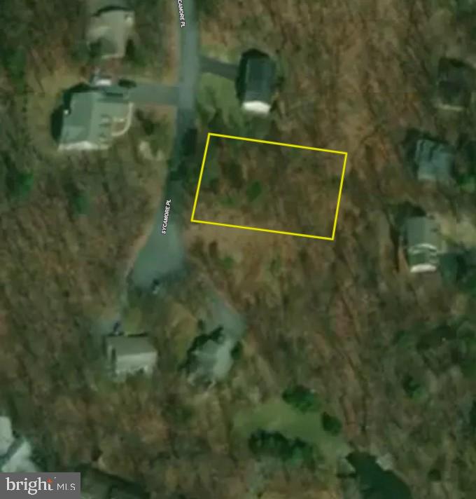 LOT 132 SYCAMORE PL, CROSS JUNCTION, Virginia 22625, ,Land,For sale,LOT 132 SYCAMORE PL,VAFV2035486 MLS # VAFV2035486
