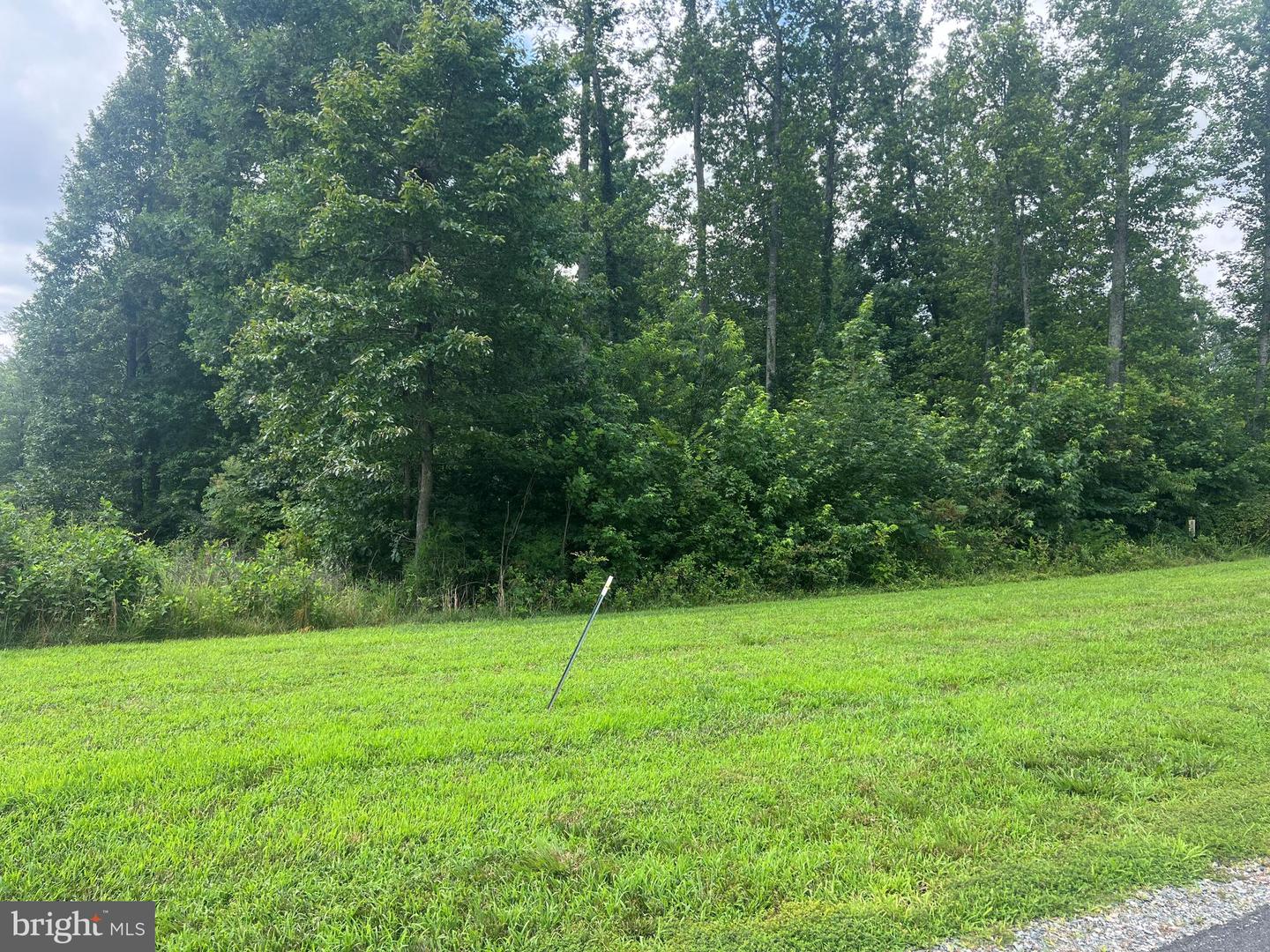 FAIRVIEW DR, MINERAL, Virginia 23117, ,Land,For sale,FAIRVIEW DR,VALA2008268 MLS # VALA2008268