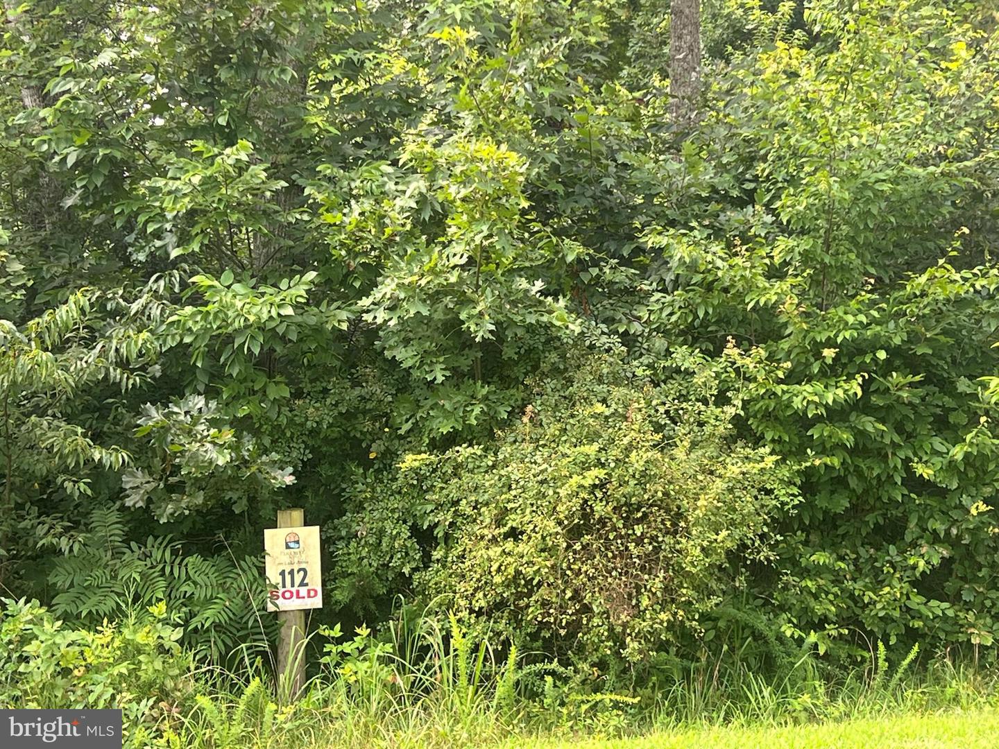 FAIRVIEW DR, MINERAL, Virginia 23117, ,Land,For sale,FAIRVIEW DR,VALA2008268 MLS # VALA2008268