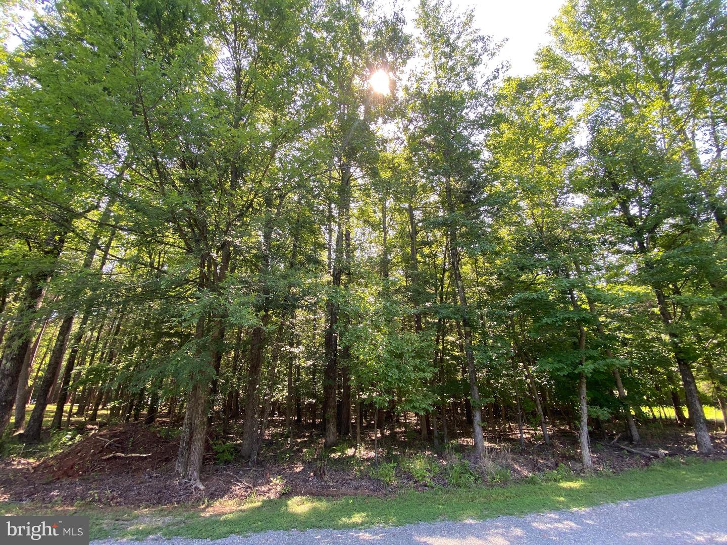 00 CARRIAGE LN, CLARKSVILLE, Virginia 23927, ,Land,For sale,00 CARRIAGE LN,VAMB2000068 MLS # VAMB2000068