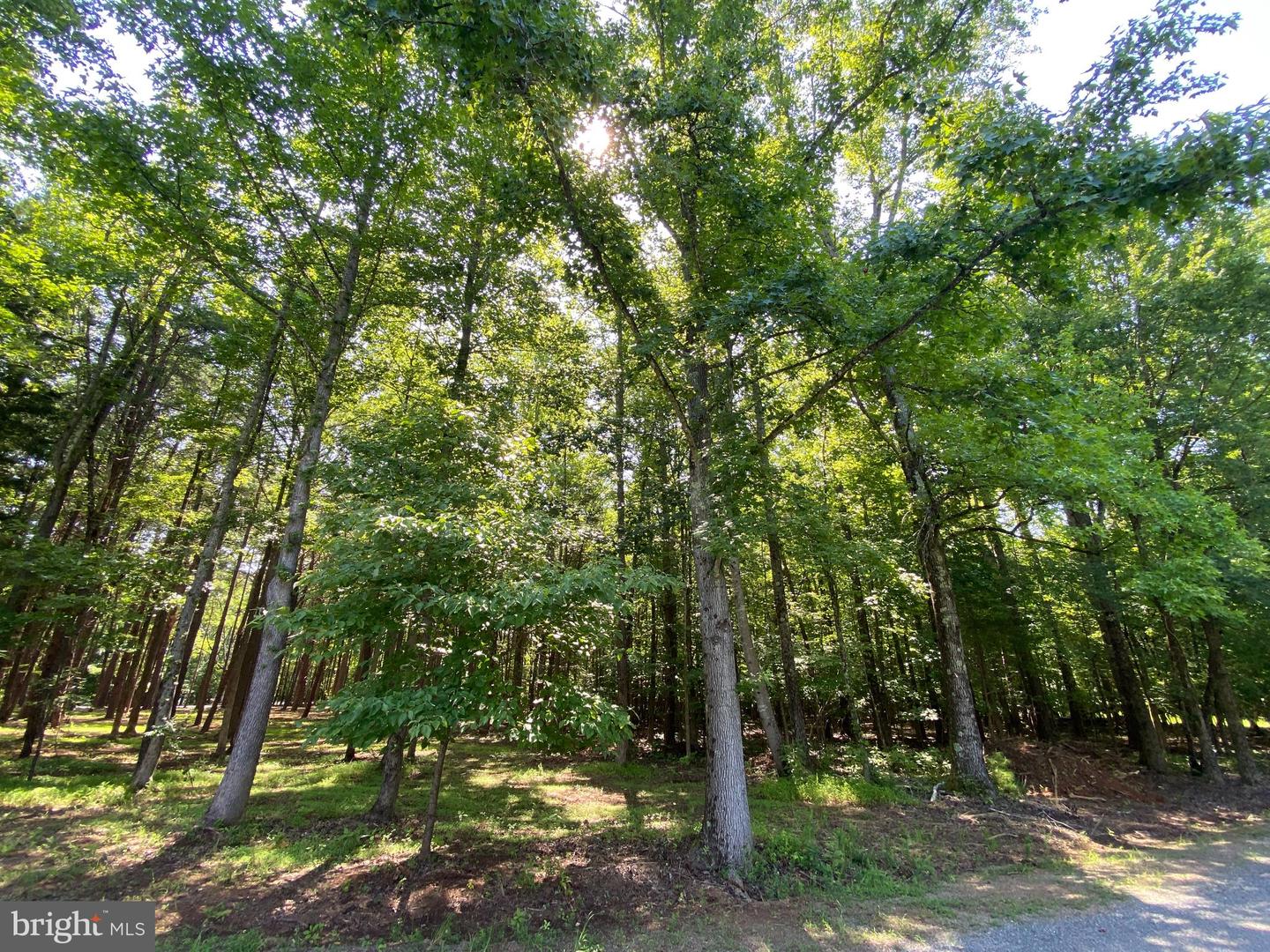 00 CARRIAGE LN, CLARKSVILLE, Virginia 23927, ,Land,For sale,00 CARRIAGE LN,VAMB2000068 MLS # VAMB2000068