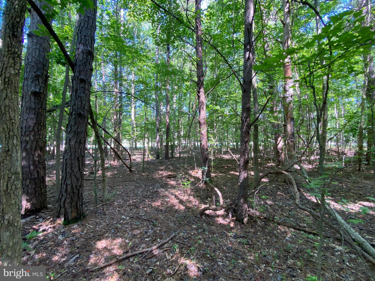 00 CARRIAGE LN, CLARKSVILLE, Virginia 23927, ,Land,For sale,00 CARRIAGE LN,VAMB2000068 MLS # VAMB2000068