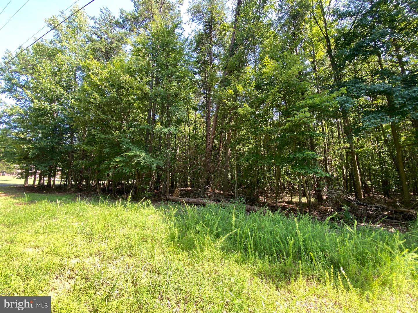 00 CARRIAGE LN, CLARKSVILLE, Virginia 23927, ,Land,For sale,00 CARRIAGE LN,VAMB2000068 MLS # VAMB2000068