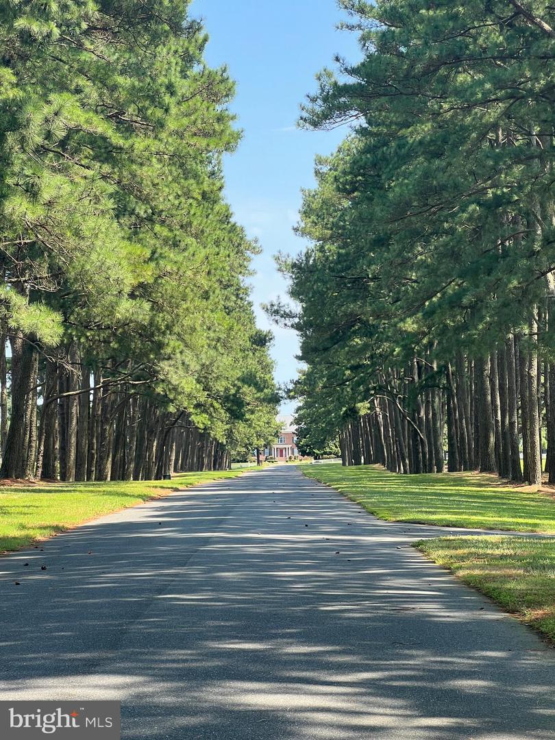 LOT 14 CORBIN HALL LN, HORNTOWN, Virginia 23395, ,Land,For sale,LOT 14 CORBIN HALL LN,VAAC2002060 MLS # VAAC2002060