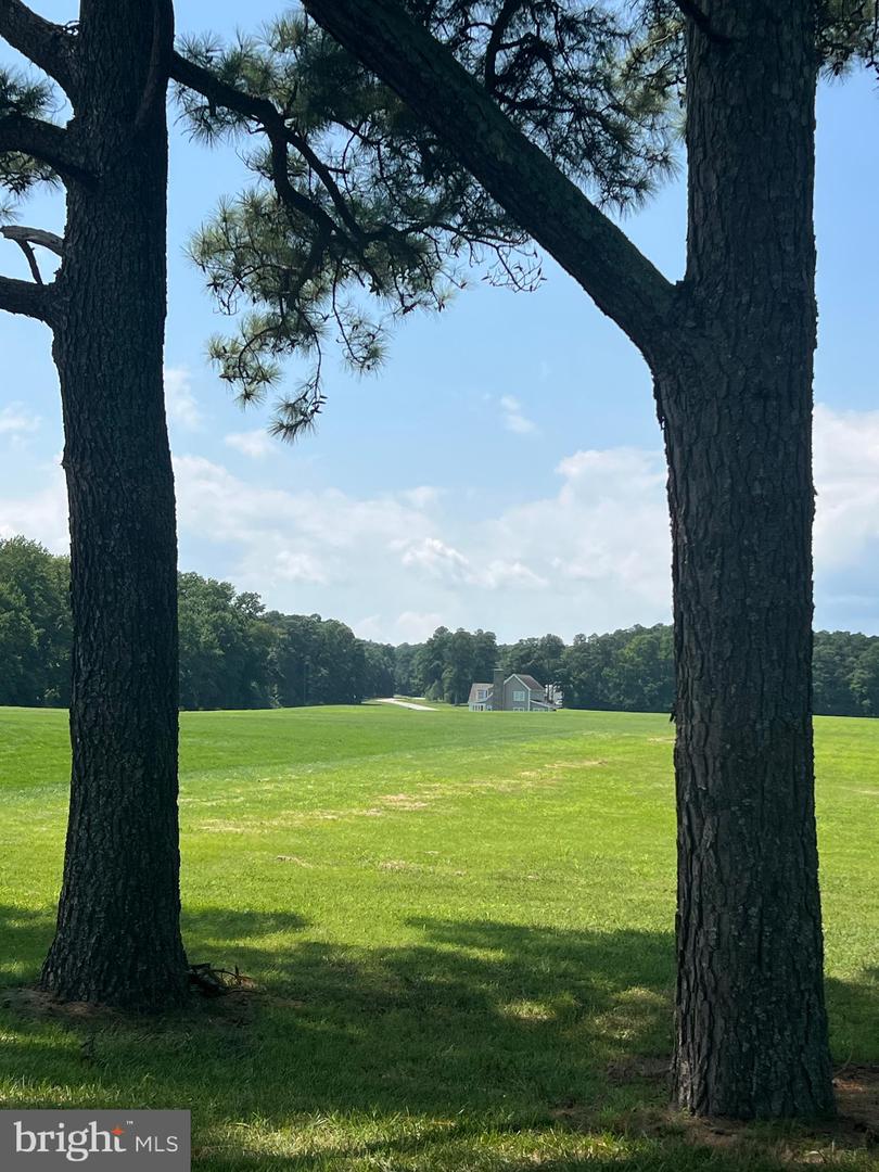 LOT 14 CORBIN HALL LN, HORNTOWN, Virginia 23395, ,Land,For sale,LOT 14 CORBIN HALL LN,VAAC2002060 MLS # VAAC2002060