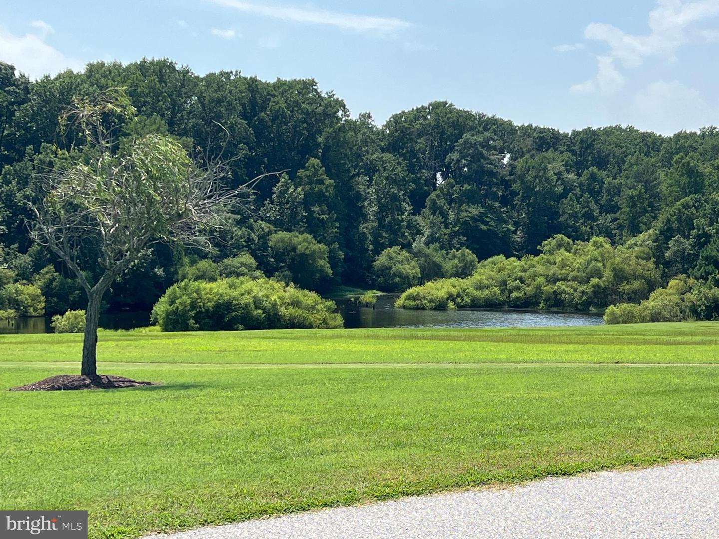 LOT 14 CORBIN HALL LN, HORNTOWN, Virginia 23395, ,Land,For sale,LOT 14 CORBIN HALL LN,VAAC2002060 MLS # VAAC2002060