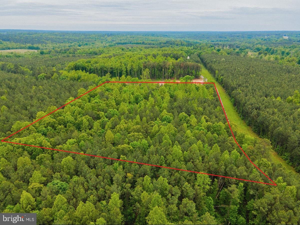 MAYFLOWER RD, KENBRIDGE, Virginia 23944, ,Land,For sale,MAYFLOWER RD,VALB2000058 MLS # VALB2000058