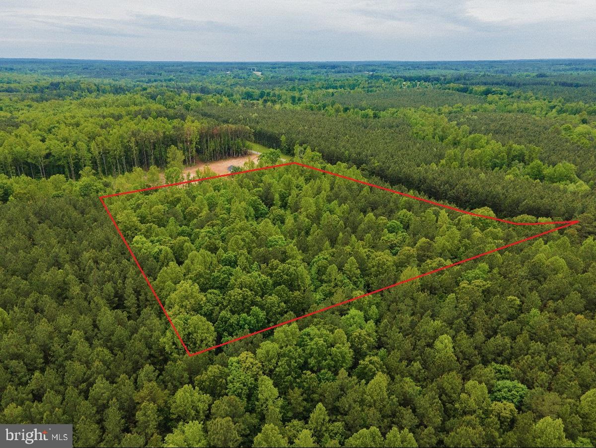 MAYFLOWER RD, KENBRIDGE, Virginia 23944, ,Land,For sale,MAYFLOWER RD,VALB2000058 MLS # VALB2000058