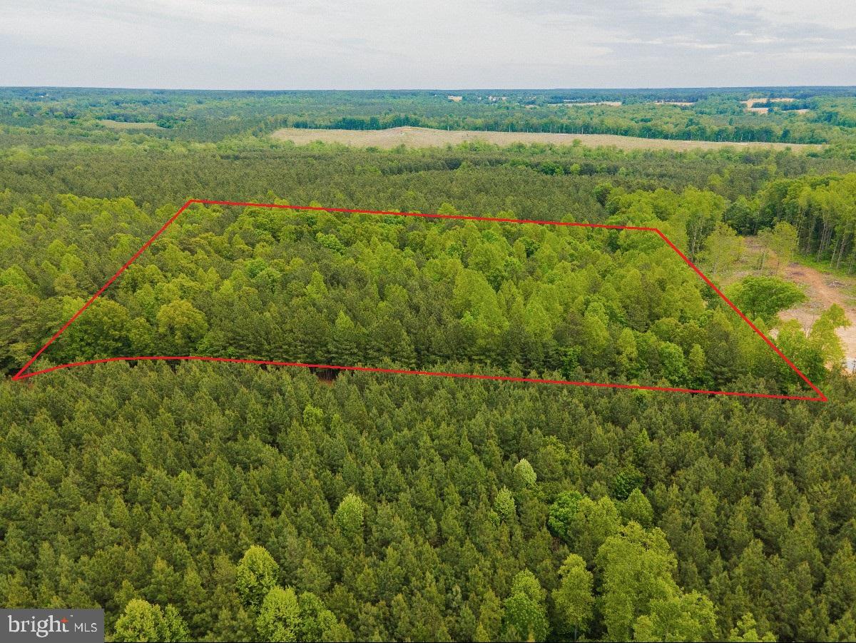 MAYFLOWER RD, KENBRIDGE, Virginia 23944, ,Land,For sale,MAYFLOWER RD,VALB2000058 MLS # VALB2000058