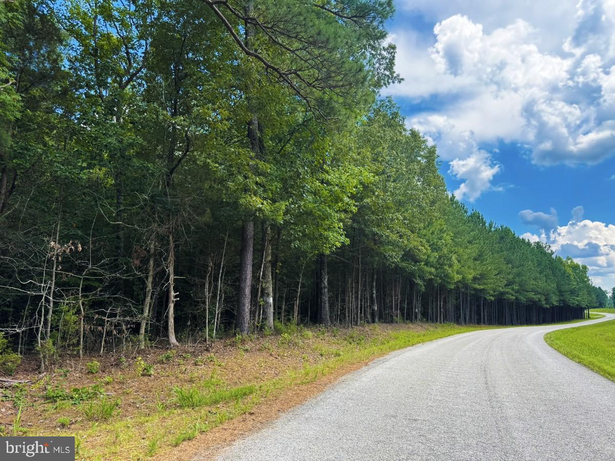 MAYFLOWER RD, KENBRIDGE, Virginia 23944, ,Land,For sale,MAYFLOWER RD,VALB2000058 MLS # VALB2000058