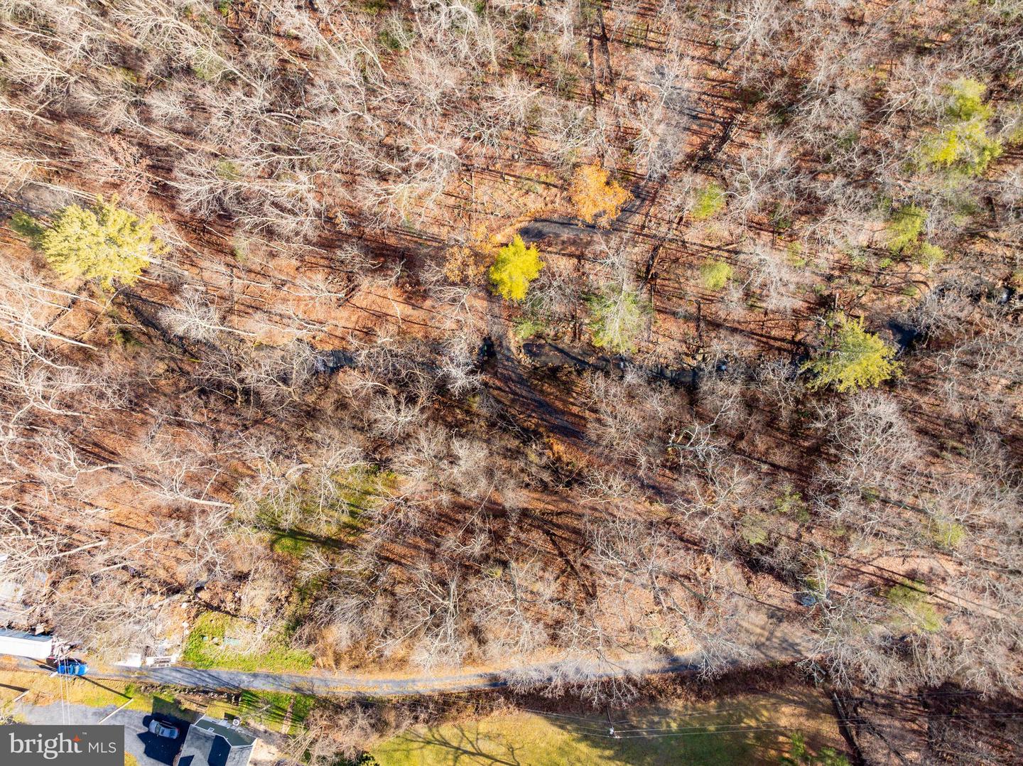 EDINBURG GAP, EDINBURG, Virginia 22824, ,Land,For sale,EDINBURG GAP,VASH2012024 MLS # VASH2012024