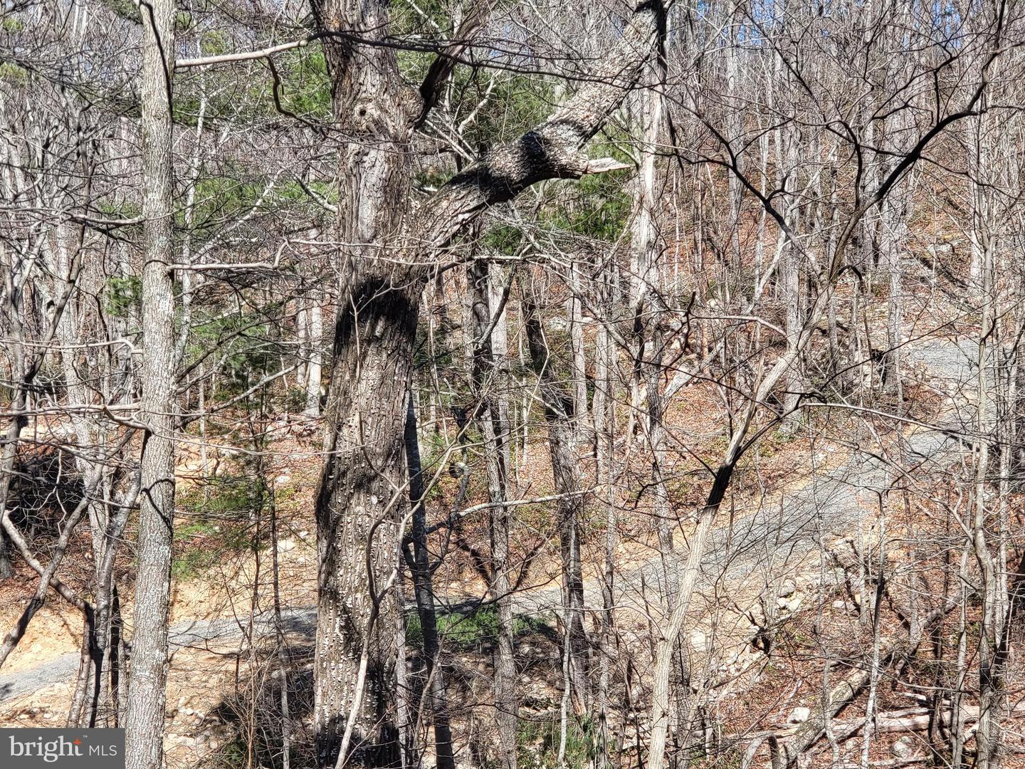 EDINBURG GAP, EDINBURG, Virginia 22824, ,Land,For sale,EDINBURG GAP,VASH2012024 MLS # VASH2012024
