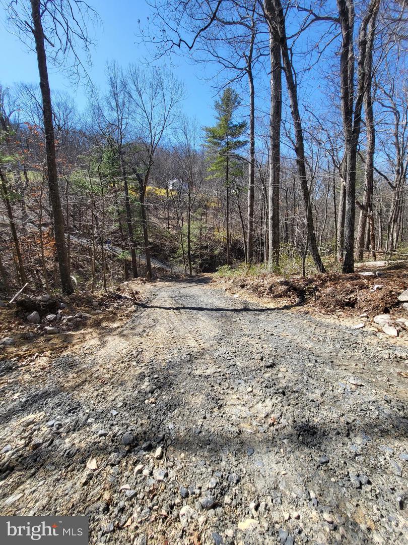EDINBURG GAP, EDINBURG, Virginia 22824, ,Land,For sale,EDINBURG GAP,VASH2012024 MLS # VASH2012024
