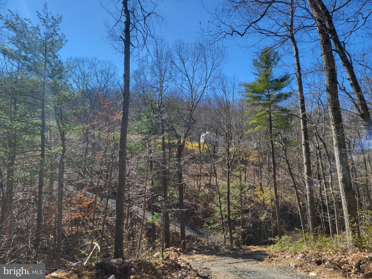 EDINBURG GAP, EDINBURG, Virginia 22824, ,Land,For sale,EDINBURG GAP,VASH2012024 MLS # VASH2012024