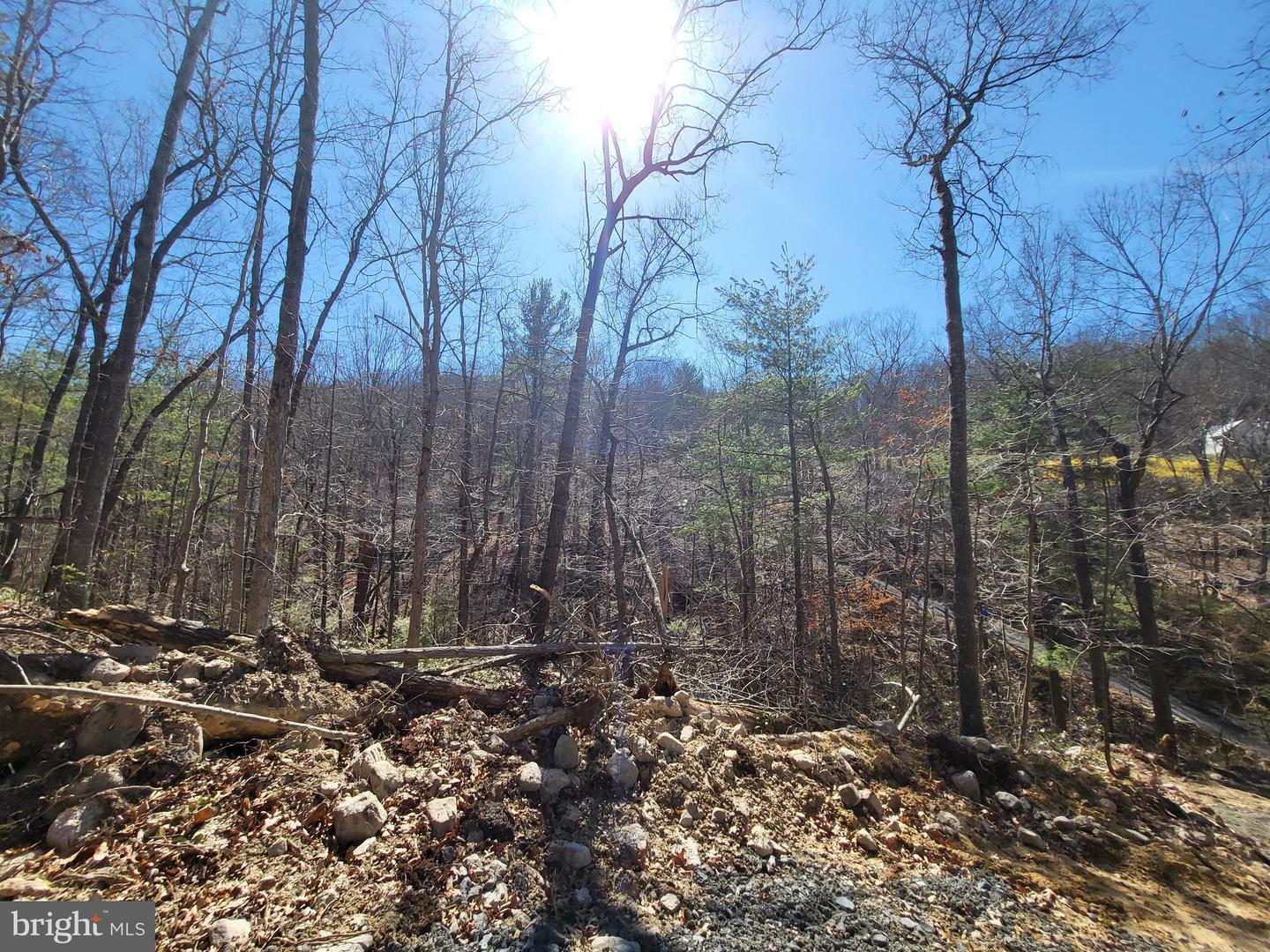 EDINBURG GAP, EDINBURG, Virginia 22824, ,Land,For sale,EDINBURG GAP,VASH2012024 MLS # VASH2012024