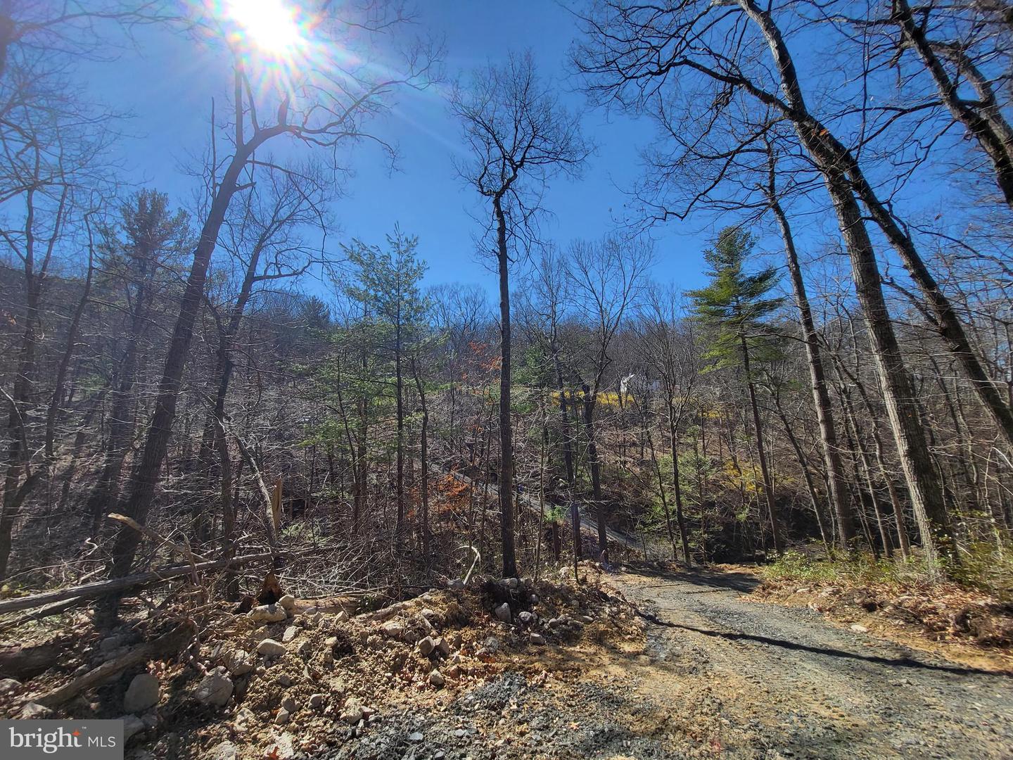 EDINBURG GAP, EDINBURG, Virginia 22824, ,Land,For sale,EDINBURG GAP,VASH2012024 MLS # VASH2012024