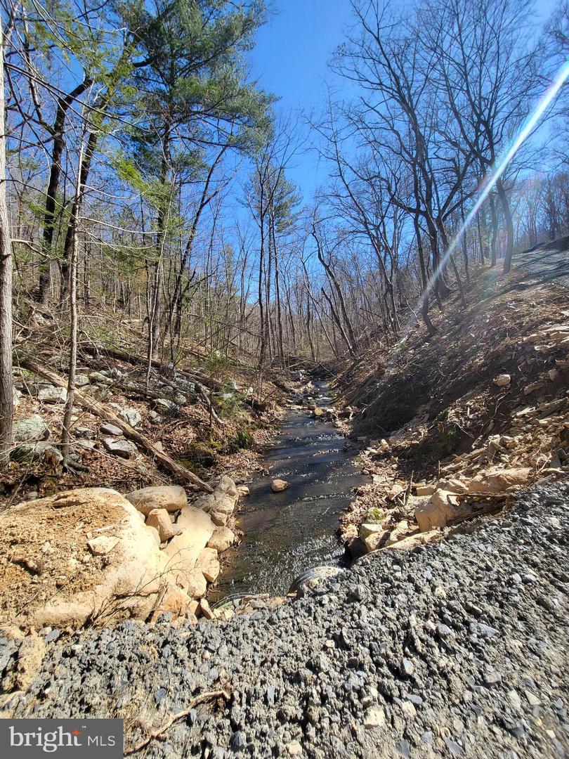 EDINBURG GAP, EDINBURG, Virginia 22824, ,Land,For sale,EDINBURG GAP,VASH2012024 MLS # VASH2012024