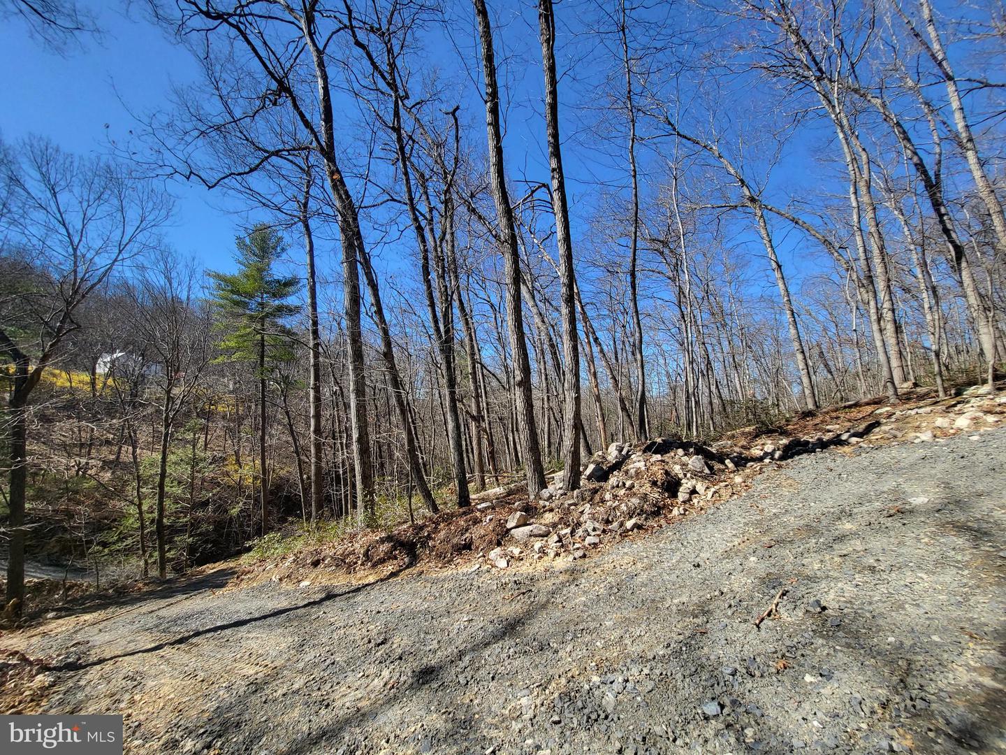 EDINBURG GAP, EDINBURG, Virginia 22824, ,Land,For sale,EDINBURG GAP,VASH2012024 MLS # VASH2012024