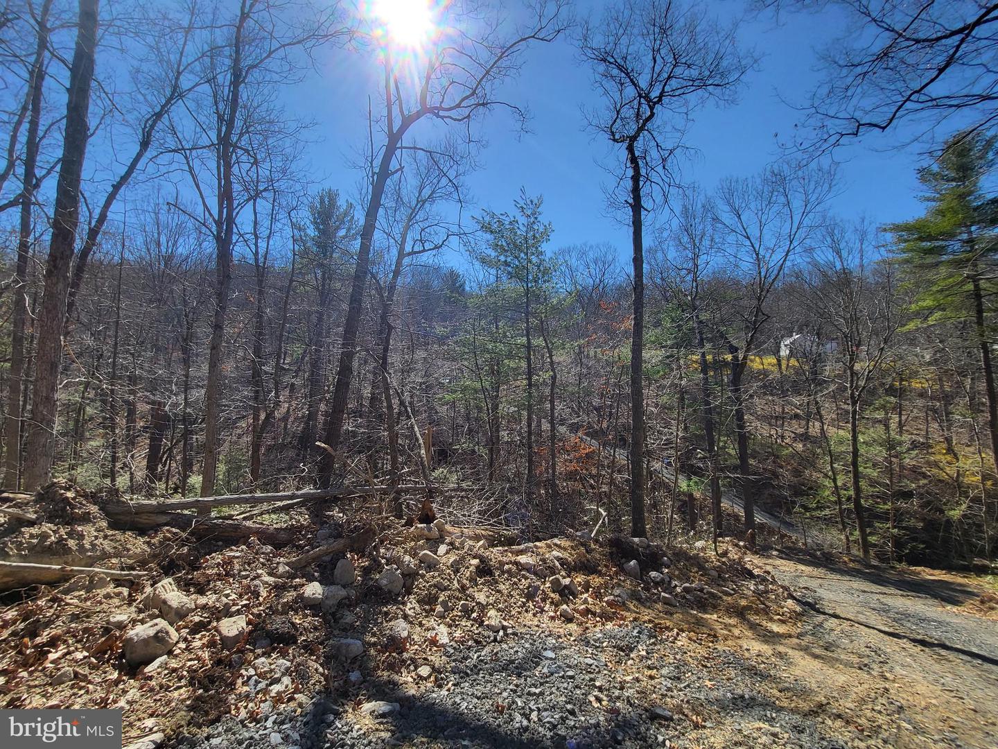 EDINBURG GAP, EDINBURG, Virginia 22824, ,Land,For sale,EDINBURG GAP,VASH2012024 MLS # VASH2012024
