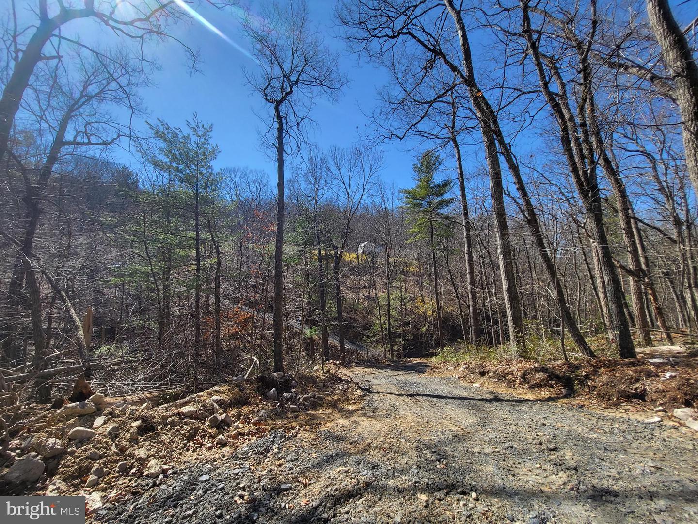 EDINBURG GAP, EDINBURG, Virginia 22824, ,Land,For sale,EDINBURG GAP,VASH2012024 MLS # VASH2012024